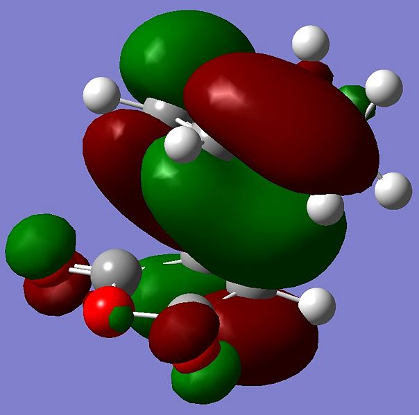 File:Sk endo homo.jpg