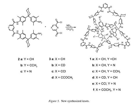 Molecular Knot Synthesis Equation