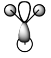 Thumbnail for version as of 15:13, 2 November 2010