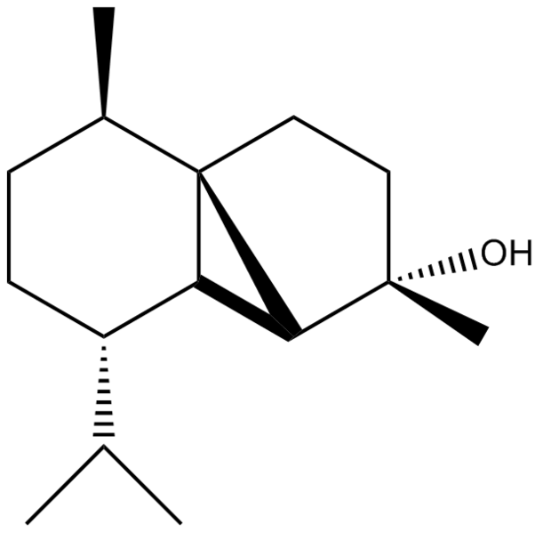 File:Cubebol.png