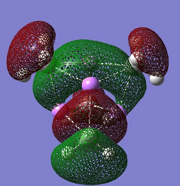 File:HOMO-1hg5082.jpg