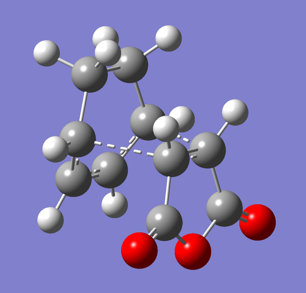 File:A endo TS pic.png