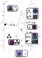 Thumbnail for version as of 12:53, 6 March 2012