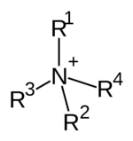 Quaternary Ammonium Cation