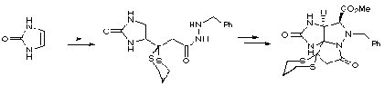 Synthesis of Saxitoxin