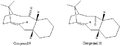 Thumbnail for version as of 12:32, 15 October 2011
