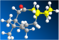 Thumbnail for version as of 15:52, 25 February 2011