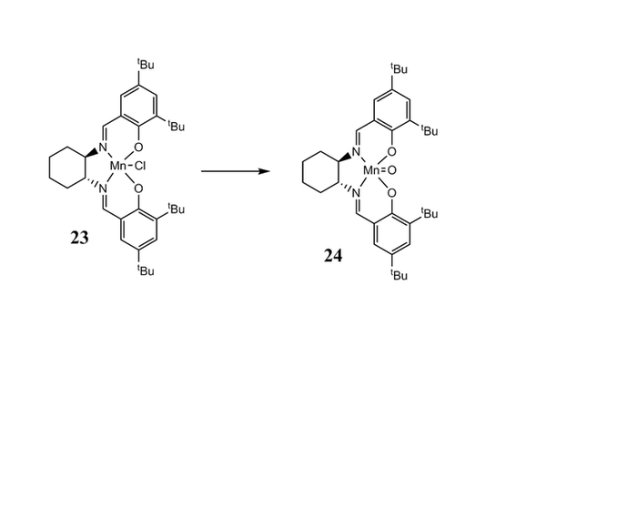 structures of 23 and 24