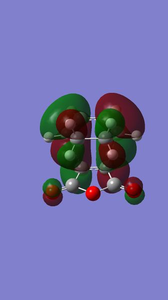 File:EXO HOMO berny.jpg