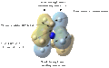 Thumbnail for version as of 12:46, 15 October 2013