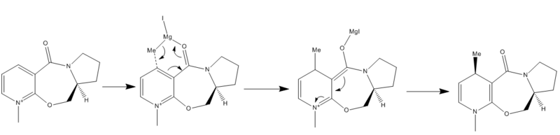 File:Mechanismmolecule52.png