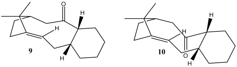 File:JR Taxol intermediates.png