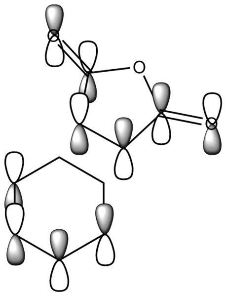 File:Endo48lcao myl.png