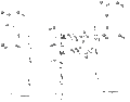 Thumbnail for version as of 03:21, 17 December 2008