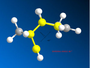 Endo Dihedral Angle.