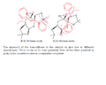 Thumbnail for version as of 17:05, 21 November 2013