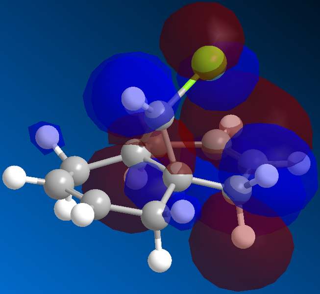 File:HOMO .bmp