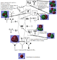 Thumbnail for version as of 16:47, 3 May 2019