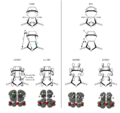 Thumbnail for version as of 12:03, 30 October 2013