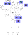 Thumbnail for version as of 16:17, 10 October 2013