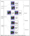Thumbnail for version as of 01:19, 17 October 2013
