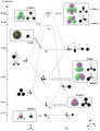 Thumbnail for version as of 13:27, 14 October 2012