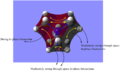 Thumbnail for version as of 16:59, 19 November 2013