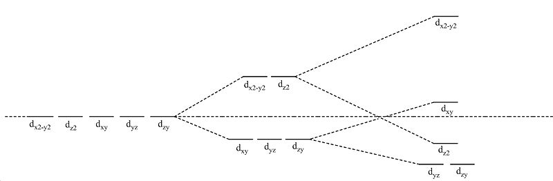 File:Cfs.jpg