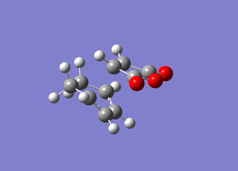 File:AM Maleicadduct endo.jpg
