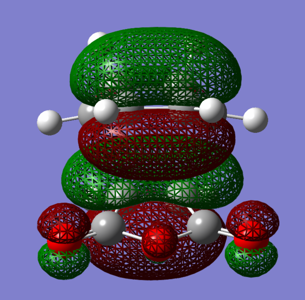 File:EndoHOMO-1am2912.png