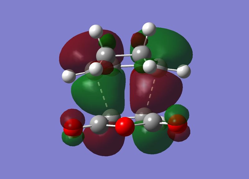 File:DMSexo ts HOMO.jpg