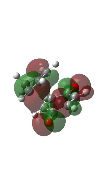 File:HOMO FOR ENDO.jpg