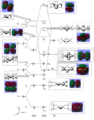Thumbnail for version as of 20:37, 11 March 2012