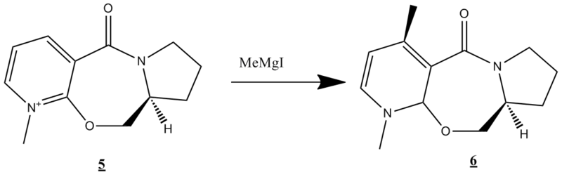 File:MOLECULE 5.png