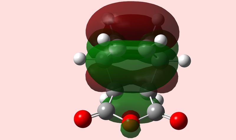 File:HOMO final endo product.jpg
