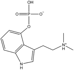 Psilocybin