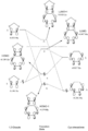 Thumbnail for version as of 17:16, 17 December 2017