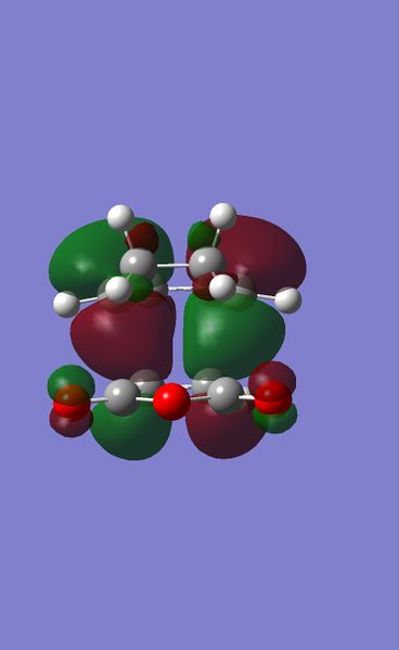 File:ENDO HOMO AM1.jpg