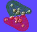 Thumbnail for version as of 21:58, 5 November 2008