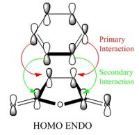 HOMO endo