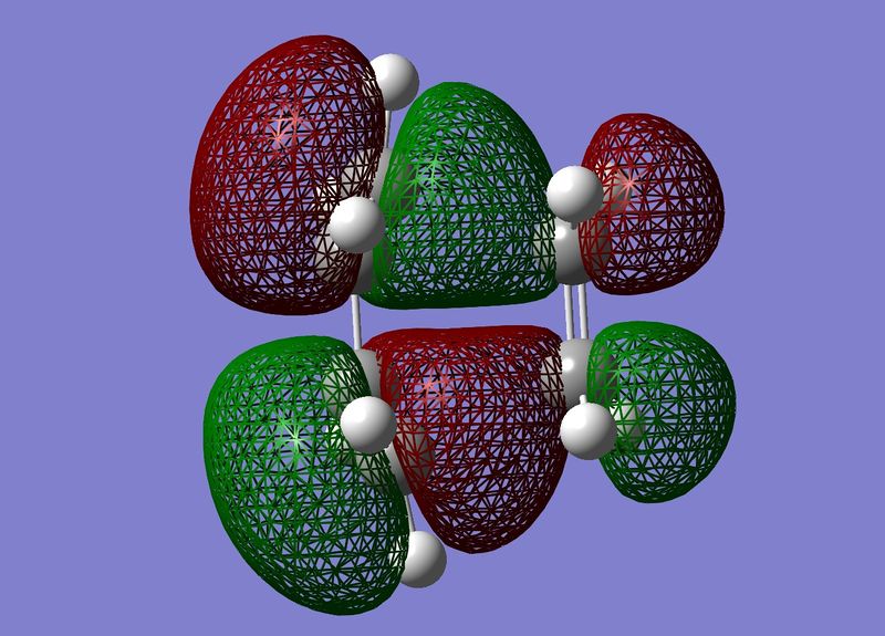 File:DielsalderHOMO.jpg