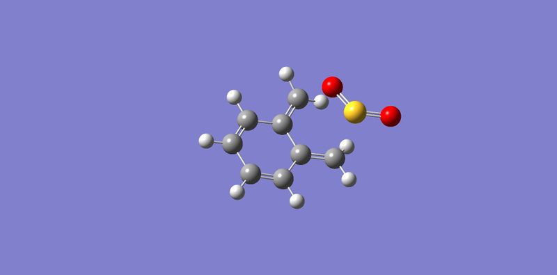 File:Exo Xyl TS.jpg