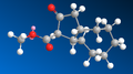 Thumbnail for version as of 19:36, 4 March 2011