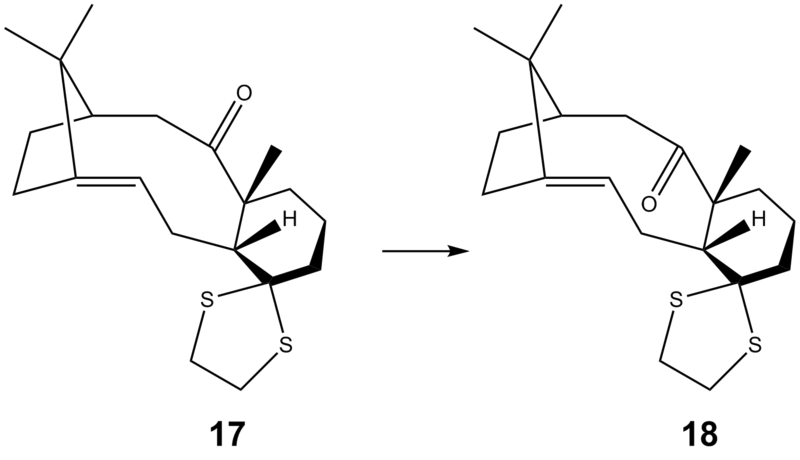 File:NFoverview 3rd 2.png