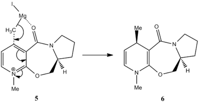 Reaction Mechanism of 5 to 6