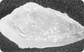 Thumbnail for version as of 15:27, 7 December 2007