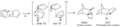 Thumbnail for version as of 15:38, 5 February 2014
