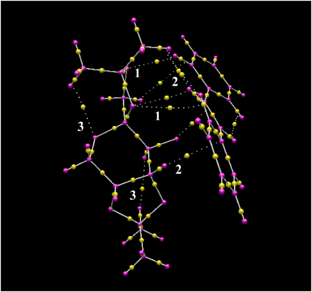 File:Tc1411 qtaimlabel.png