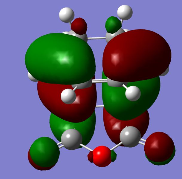 File:Homo endo.jpg