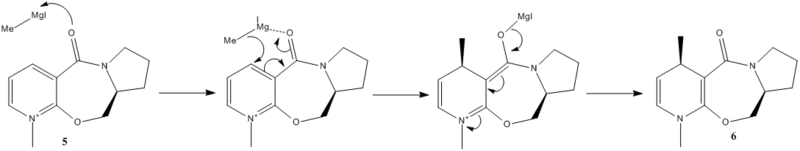 File:Pm08rct5to6.png